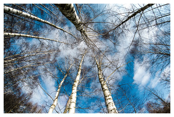 winter sky